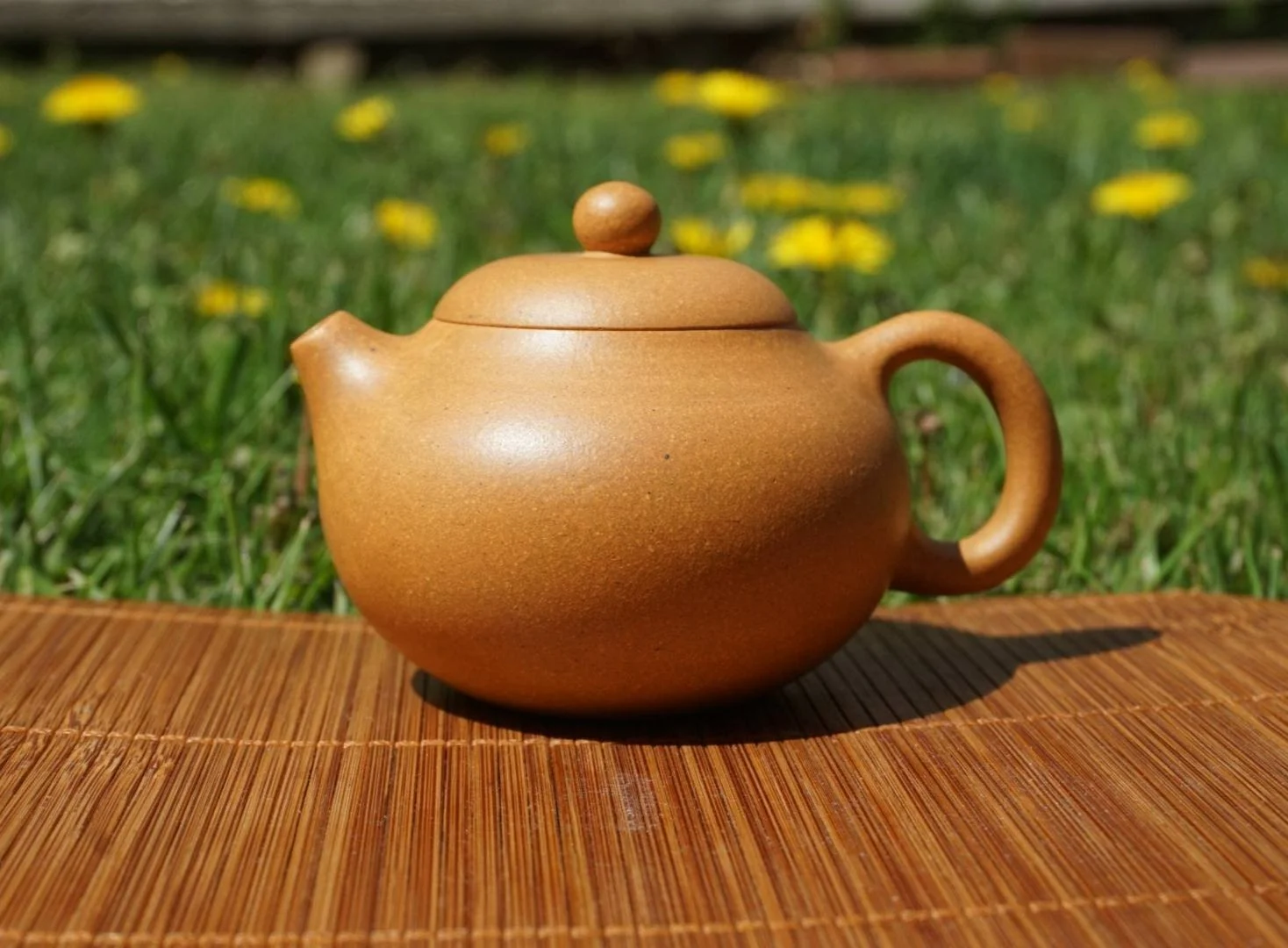 Duan Ni Wen Dan teapot 段泥文旦壺 — T SHOP